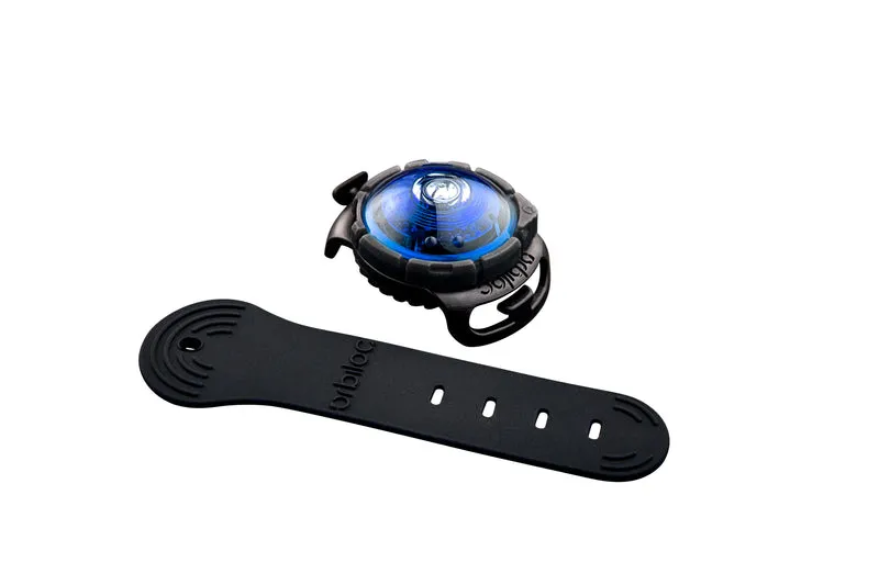 LED Sicherheitslicht Dog Dual Blue
