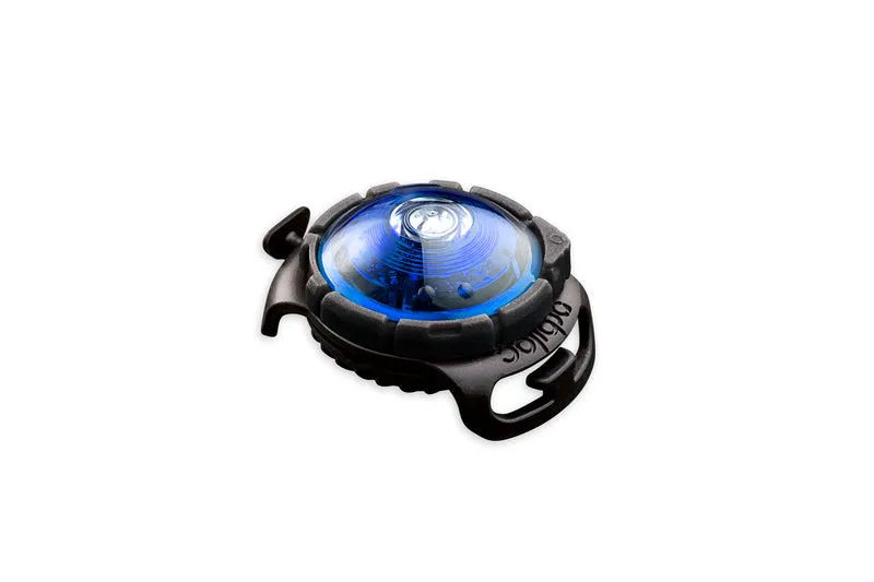 LED Sicherheitslicht Dog Dual Blue