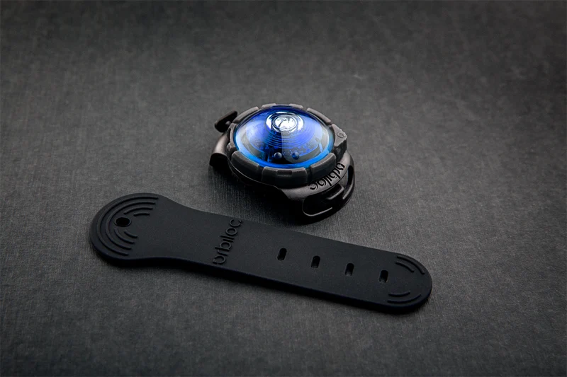 LED Sicherheitslicht Dog Dual Blue