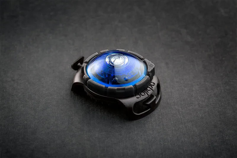 LED Sicherheitslicht Dog Dual Blue