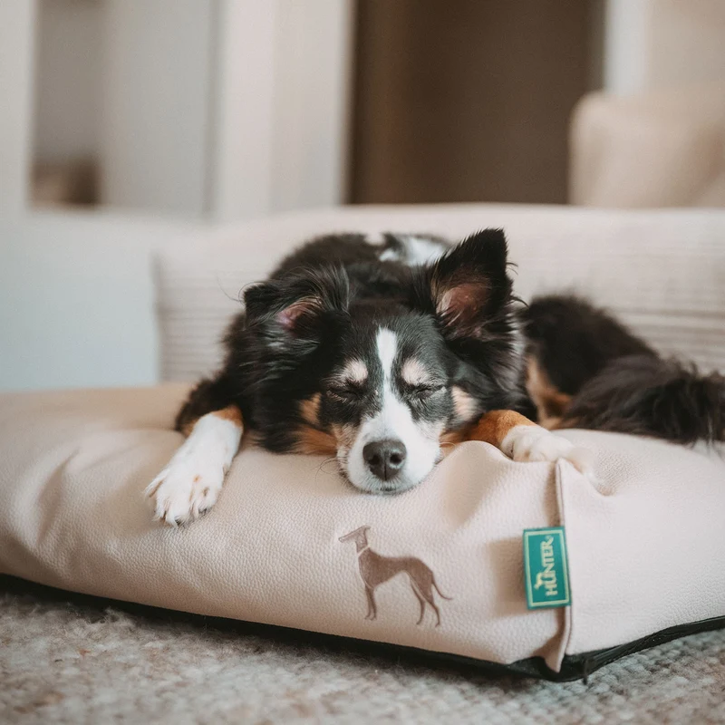Orthopädisches/Ergonomisches Hundekissen Livo