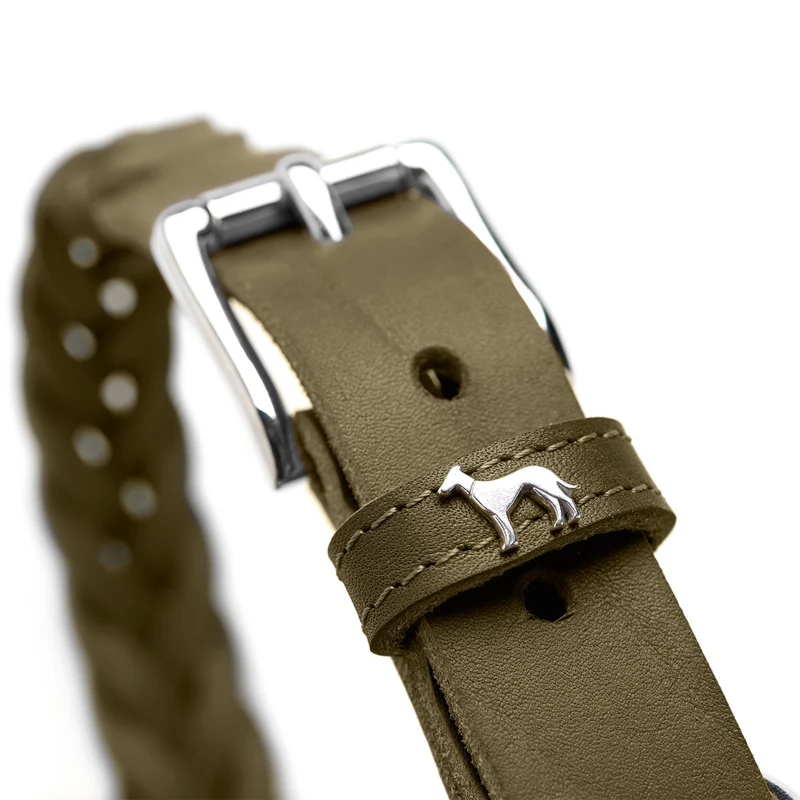 Halsband Solid Education Special