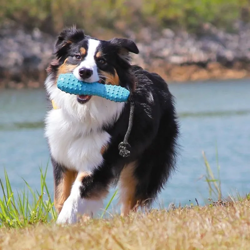 RUFFWEAR - Gourdo | robustes, schwimmendes Hundespielzeug