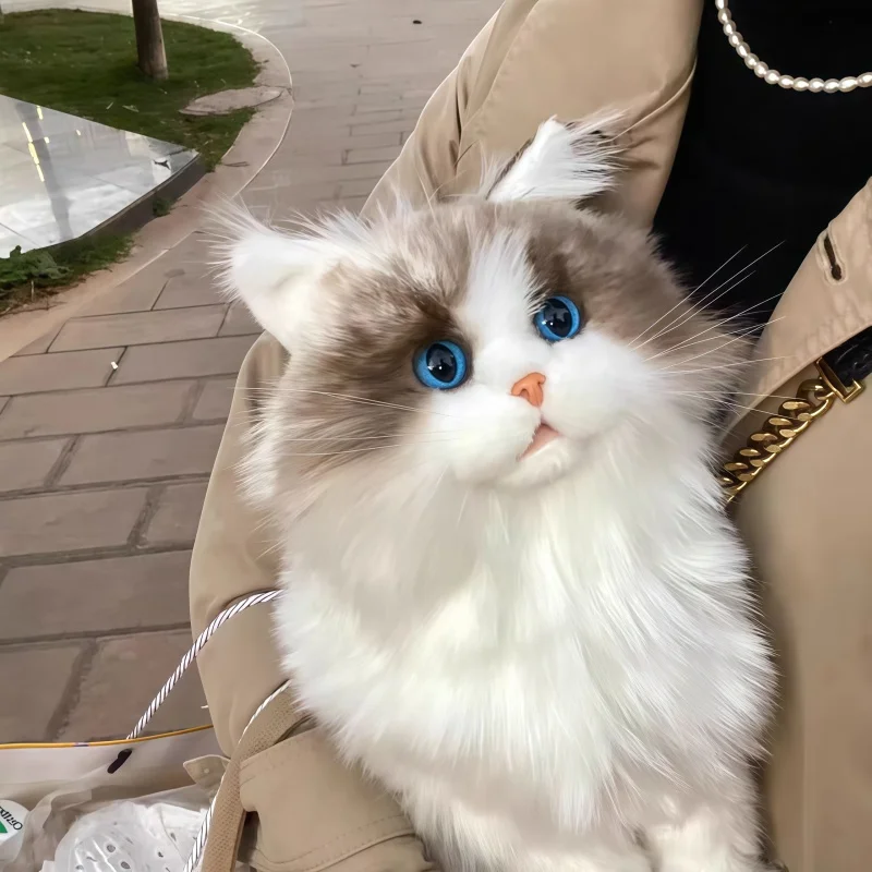 Lebensechte Plüsch-Katze Kuscheltier, Katzen Puppe