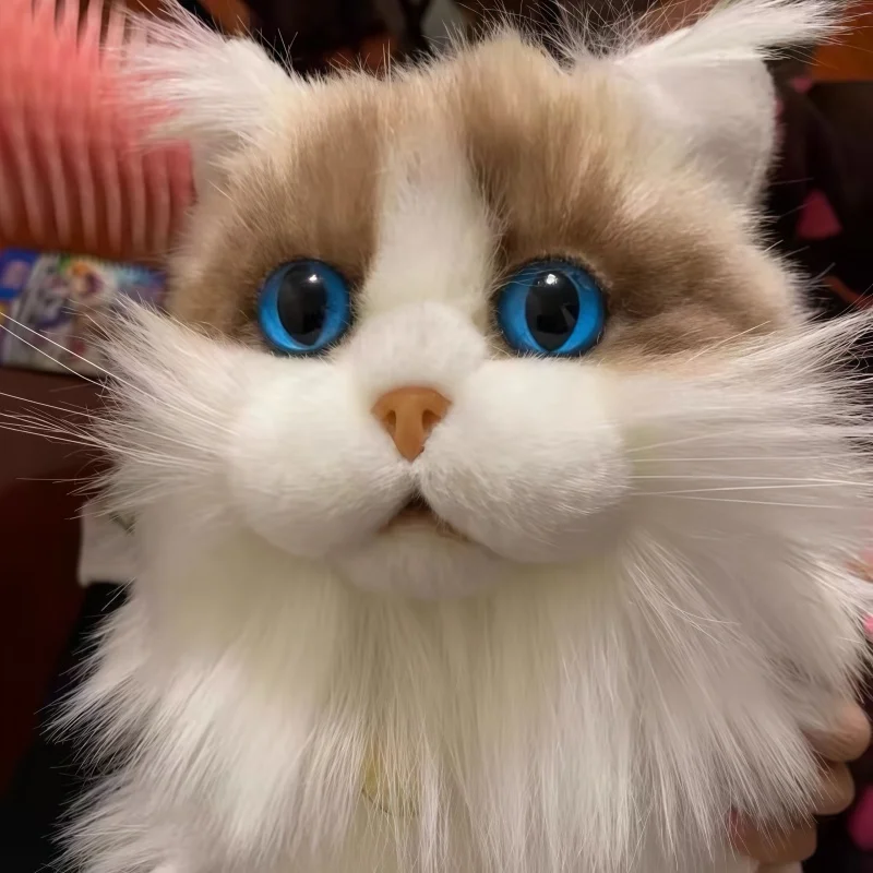 Lebensechte Plüsch-Katze Kuscheltier, Katzen Puppe
