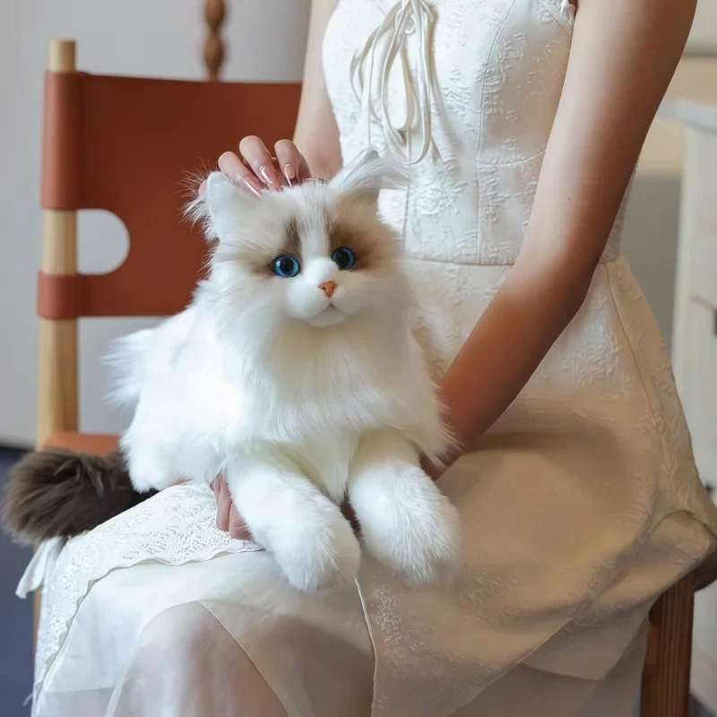 Lebensechte Plüsch-Katze Kuscheltier, Katzen Puppe