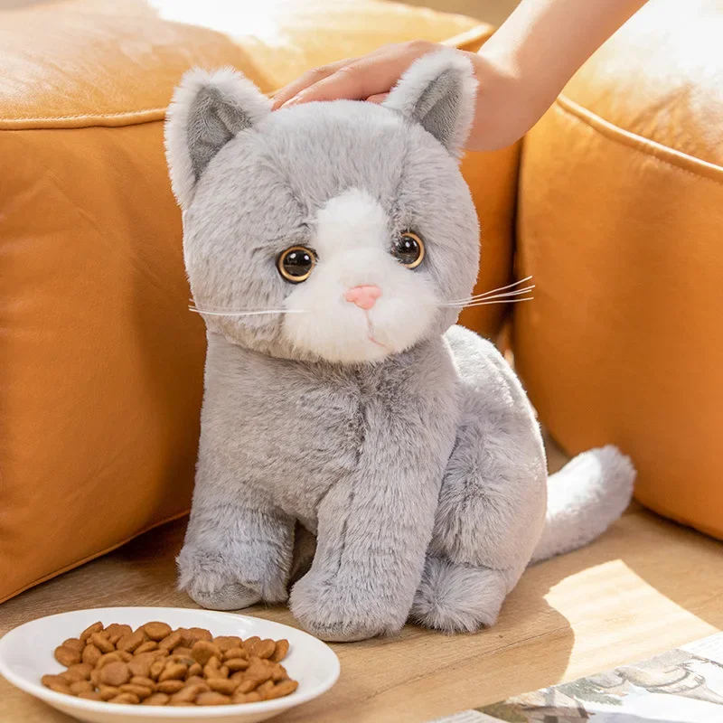 Niedliche Katzenbabys Kuscheltiere