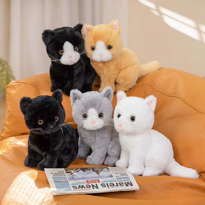 Niedliche Katzenbabys Kuscheltiere