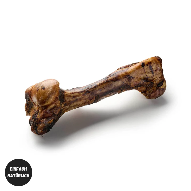 Pferde Jumbo Knochen