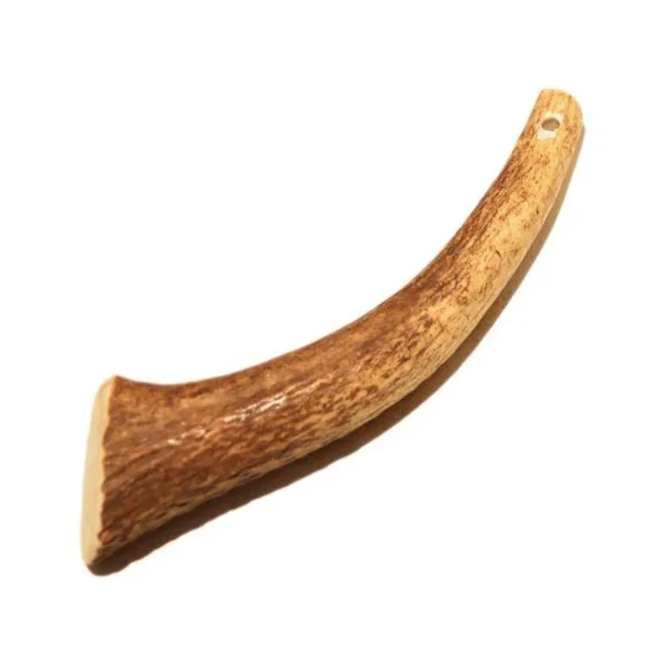 Hirsch-Geweih