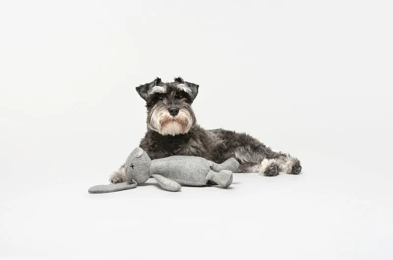 Plüsch Hundespielzeug Kaninchen Rupert