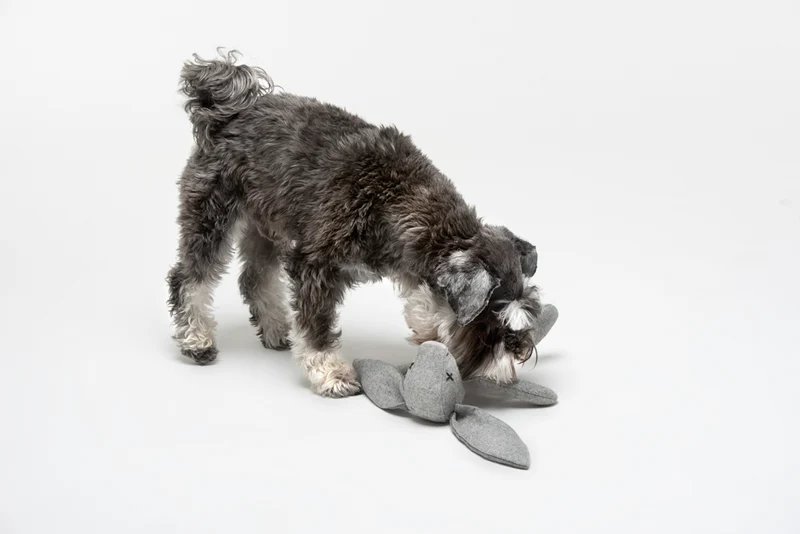 Plüsch Hundespielzeug Kaninchen Rupert