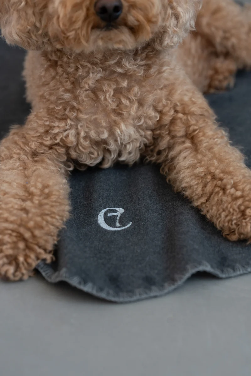 Hundedecke Soft Fleece Dark Grey