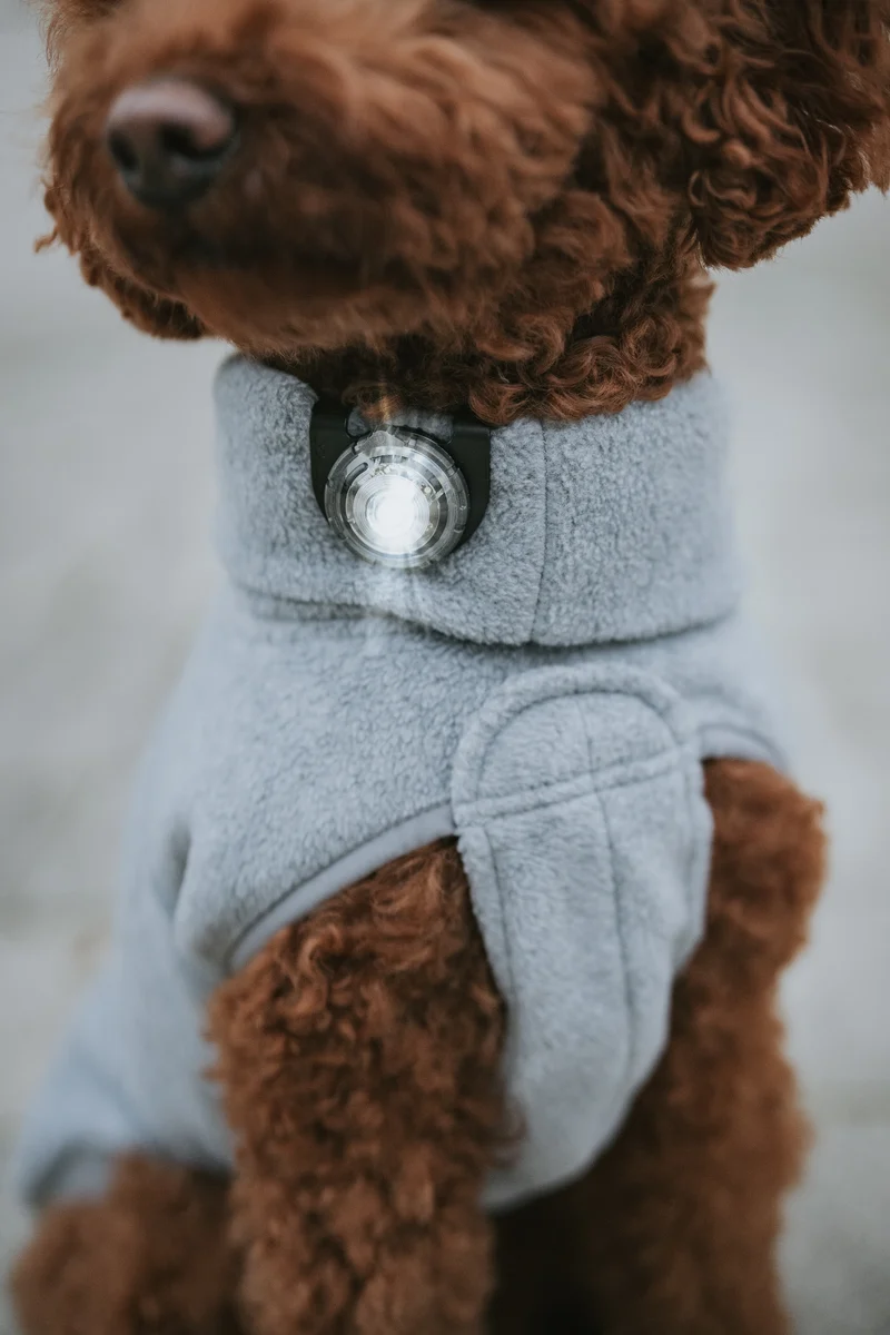 LED Sicherheitslicht Dog Dual White