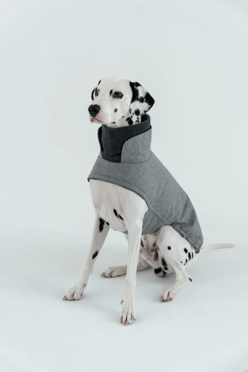 Hundemantel Brooklyn Flanell Grey