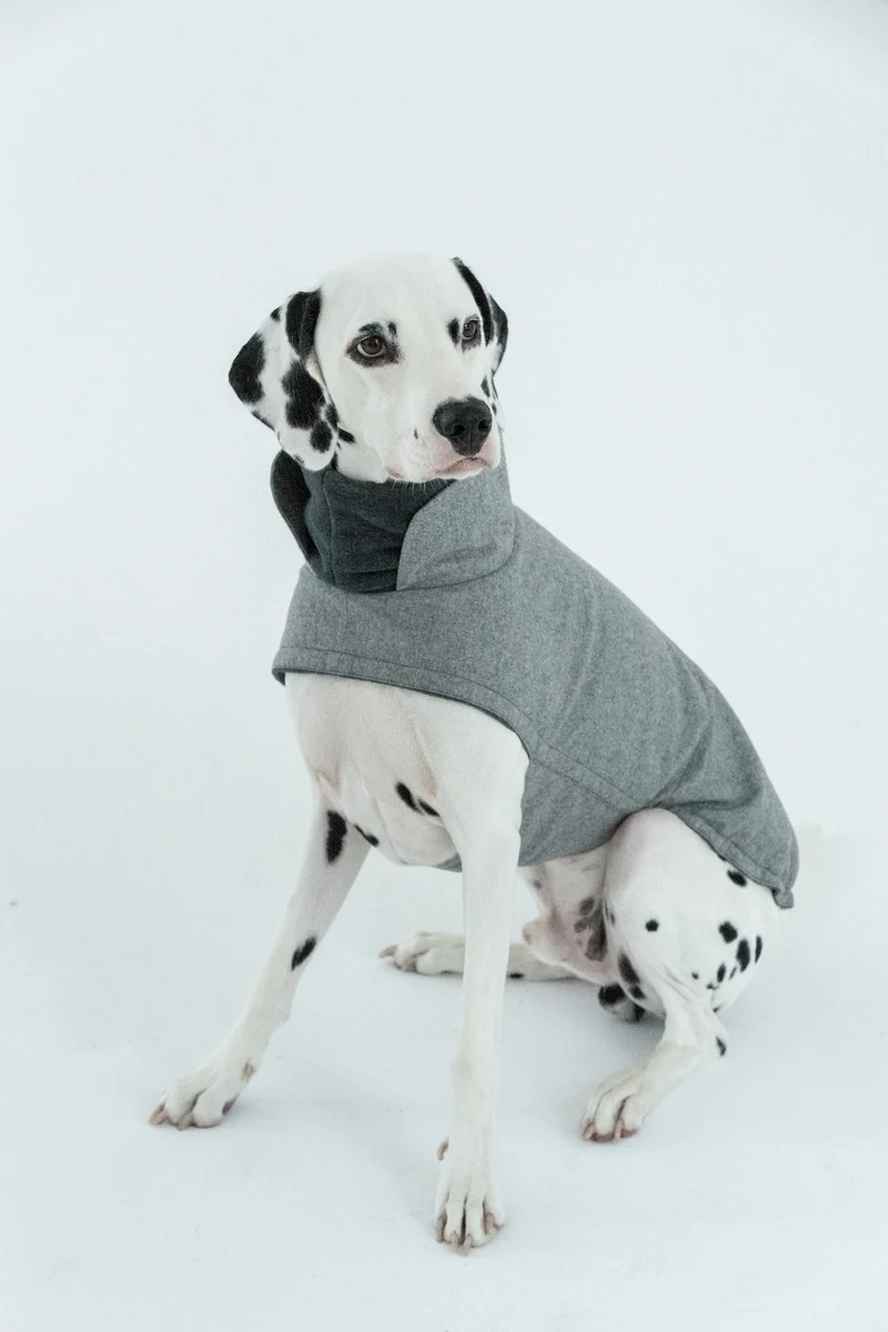 Hundemantel Brooklyn Flanell Grey