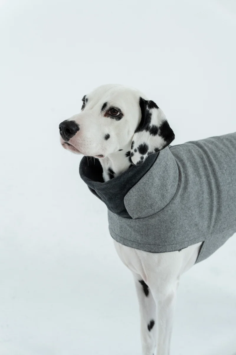 Hundemantel Brooklyn Flanell Grey