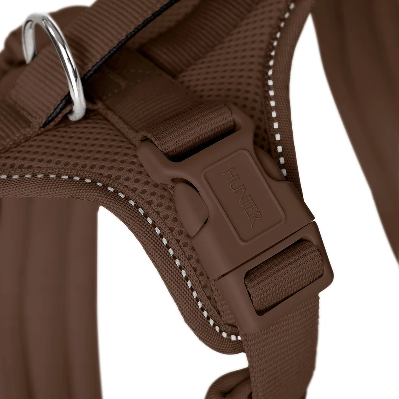 Geschirr Maldon Up Limited Edition