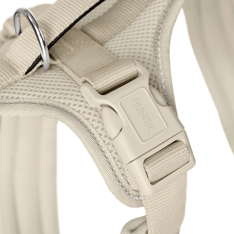 Geschirr Maldon Up Limited Edition