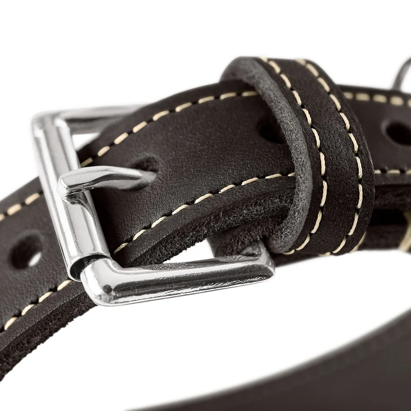 Windhundhalsband Aalborg