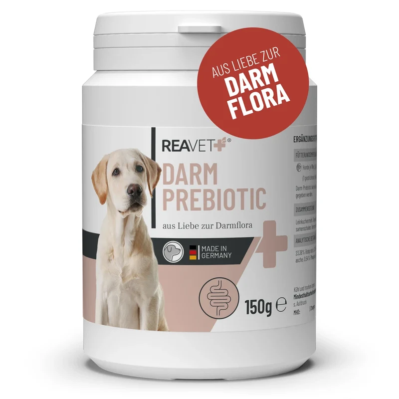 Darm Prebiotic Pulver
