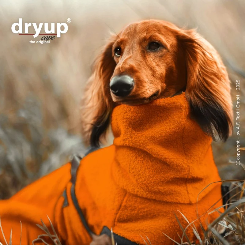 Dryup Cape Hundebademantel Dackel Clementine
