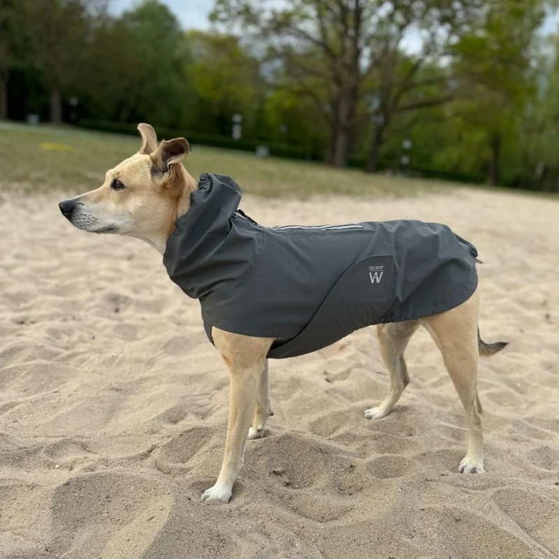 Hunderegenmantel Dublin Platinum C7 x Woofstuff