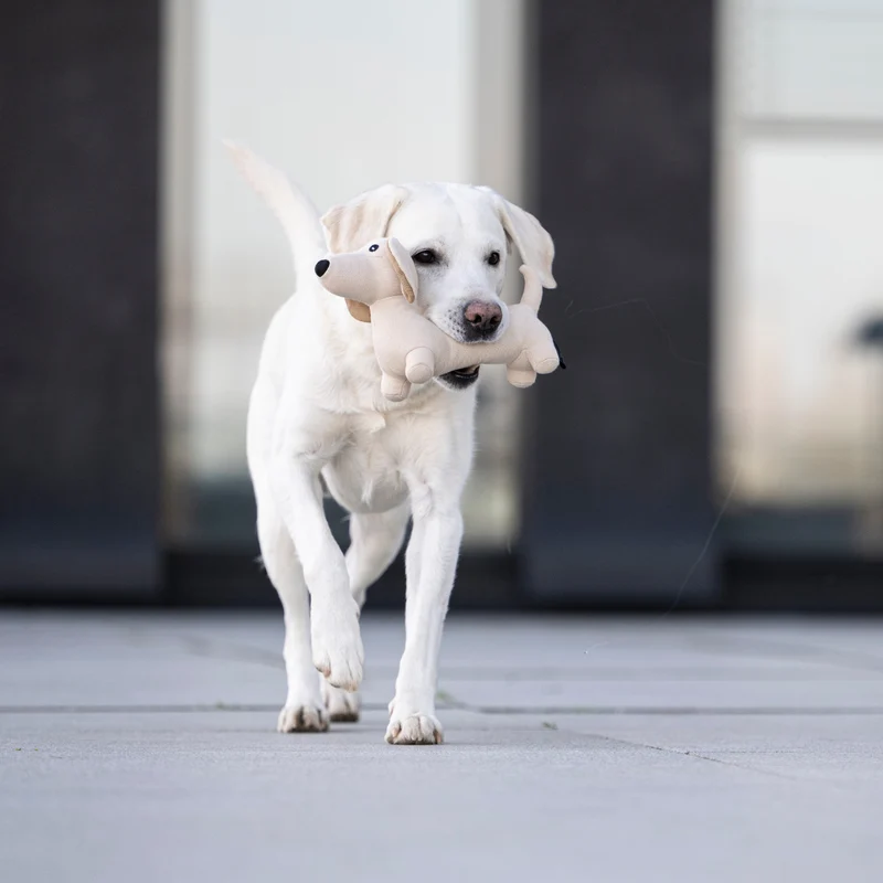 Hundespielzeug Dackel Pepe
