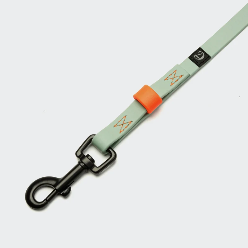 Schleppleine BioThane Ipanema Mint-Neon Orange