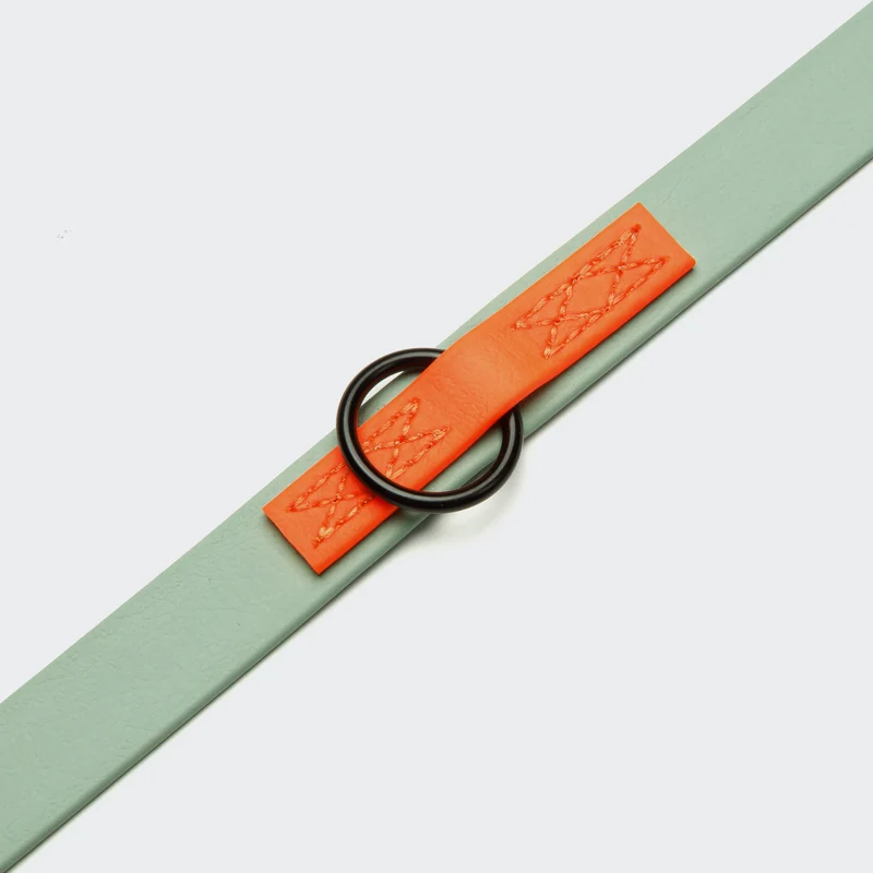 Hundeleine verstellbar BioThane Ipanema Mint-Neon Orange