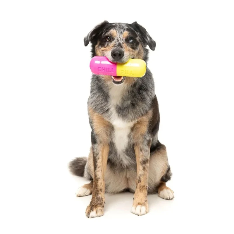 Hundespielzeug Chill Pill