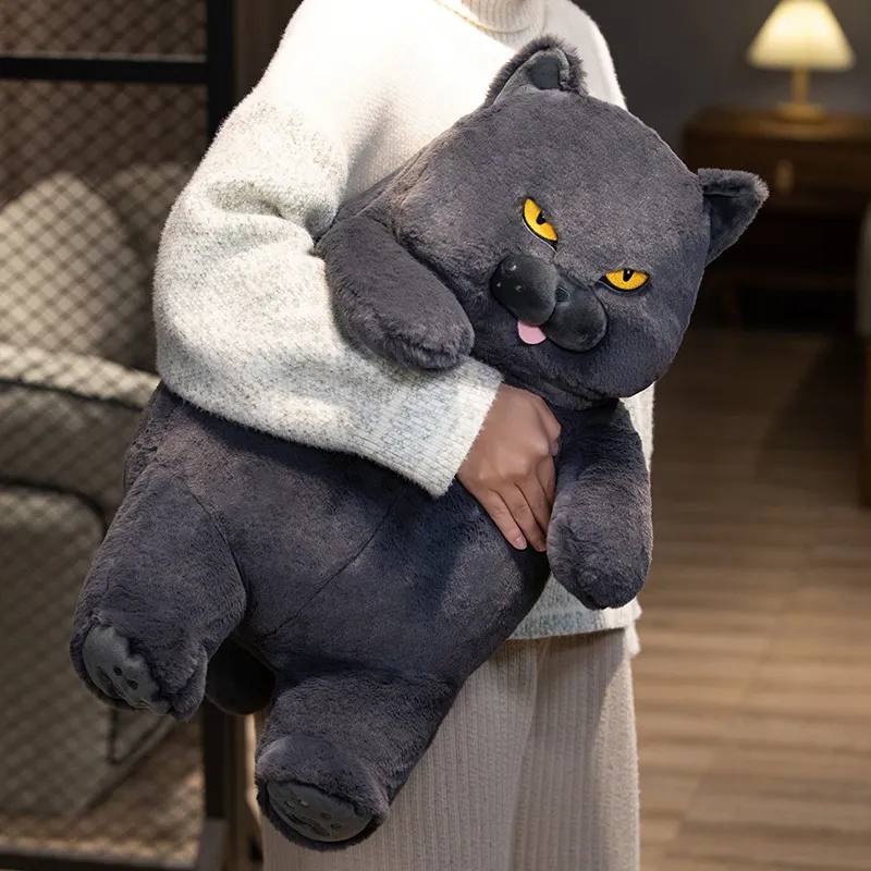 Lustige dicke Katze als Plüschtier