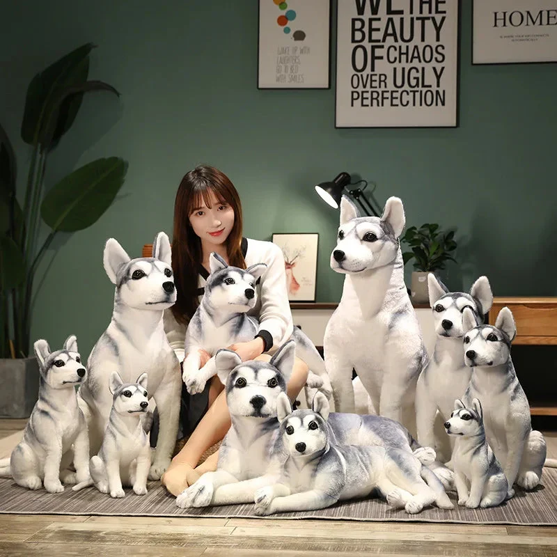 Plüschtier Siberian Husky – Kuscheltier - Stofftier weich