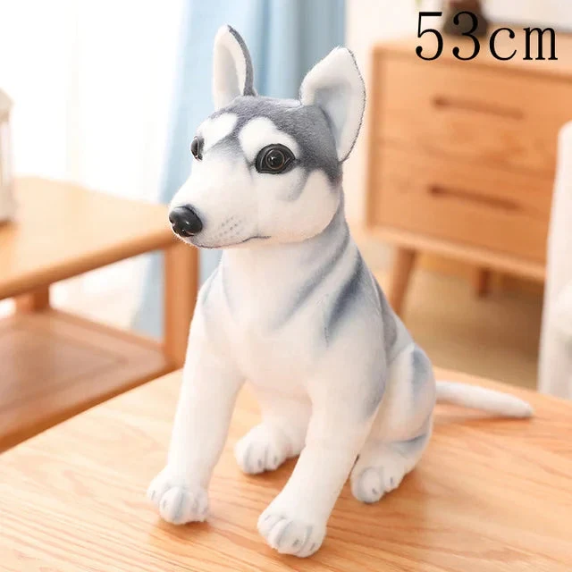 Plüschtier Siberian Husky – Kuscheltier - Stofftier weich