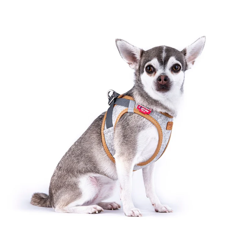 Hundegeschirr Alpine Clasp Vest Harness Grey