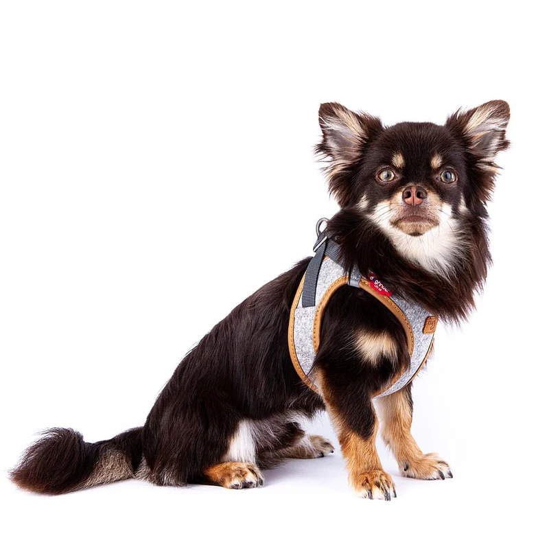 Hundegeschirr Alpine Clasp Vest Harness Grey