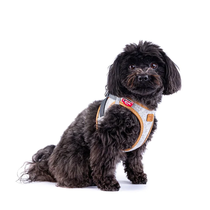 Hundegeschirr Alpine Clasp Vest Harness Grey