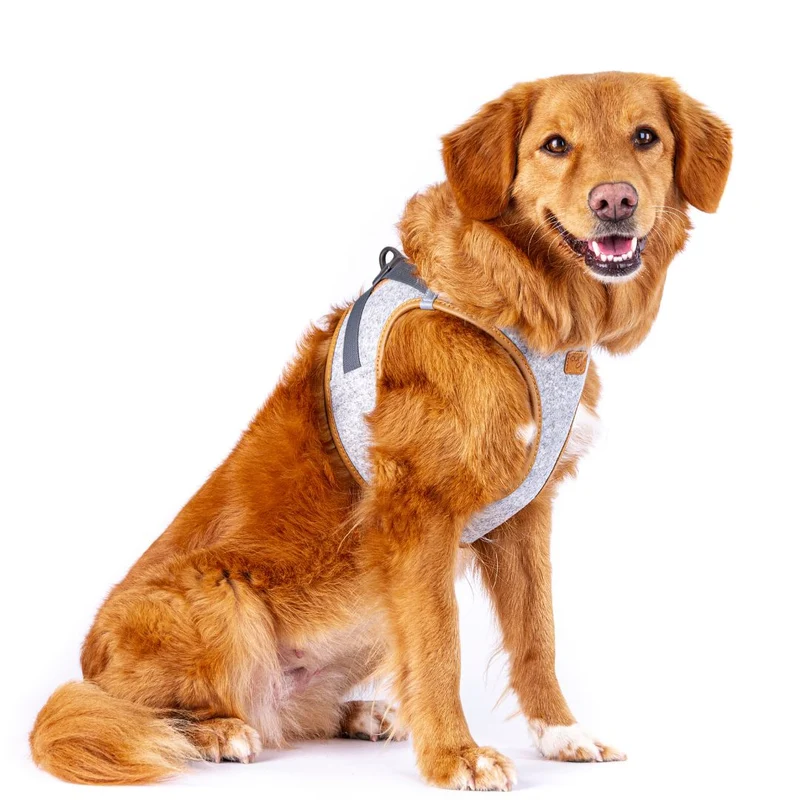 Hundegeschirr Alpine Clasp Vest Harness Grey