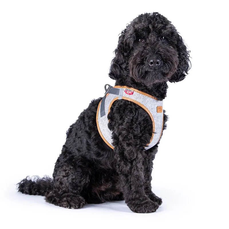 Hundegeschirr Alpine Clasp Vest Harness Grey
