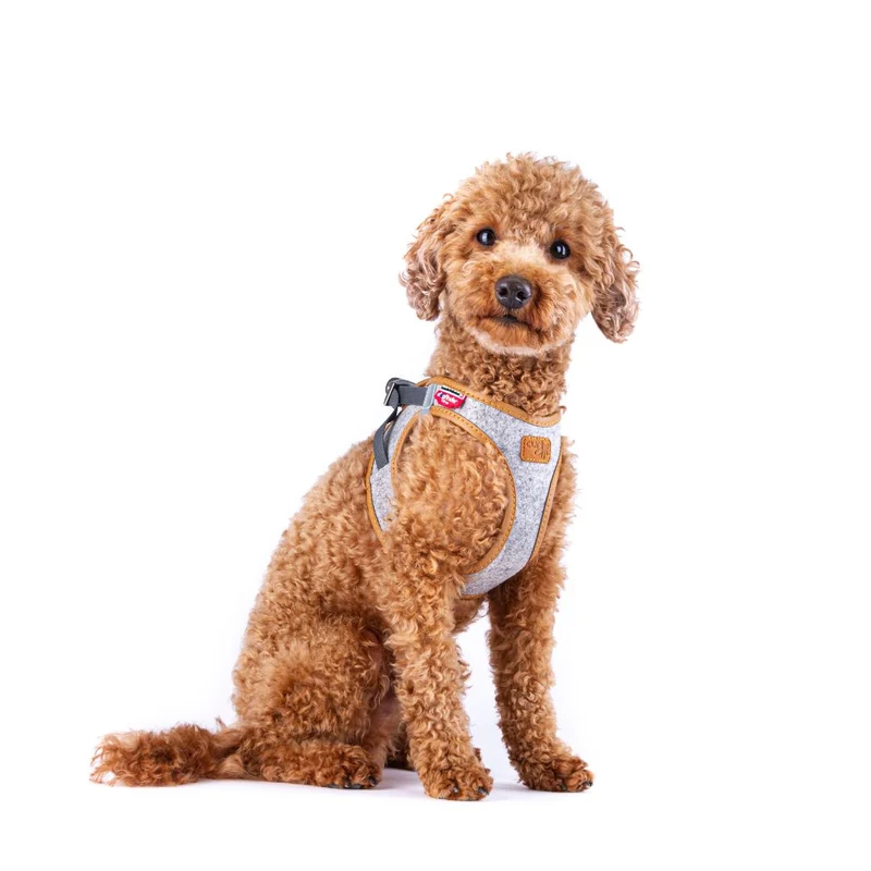 Hundegeschirr Alpine Clasp Vest Harness Grey