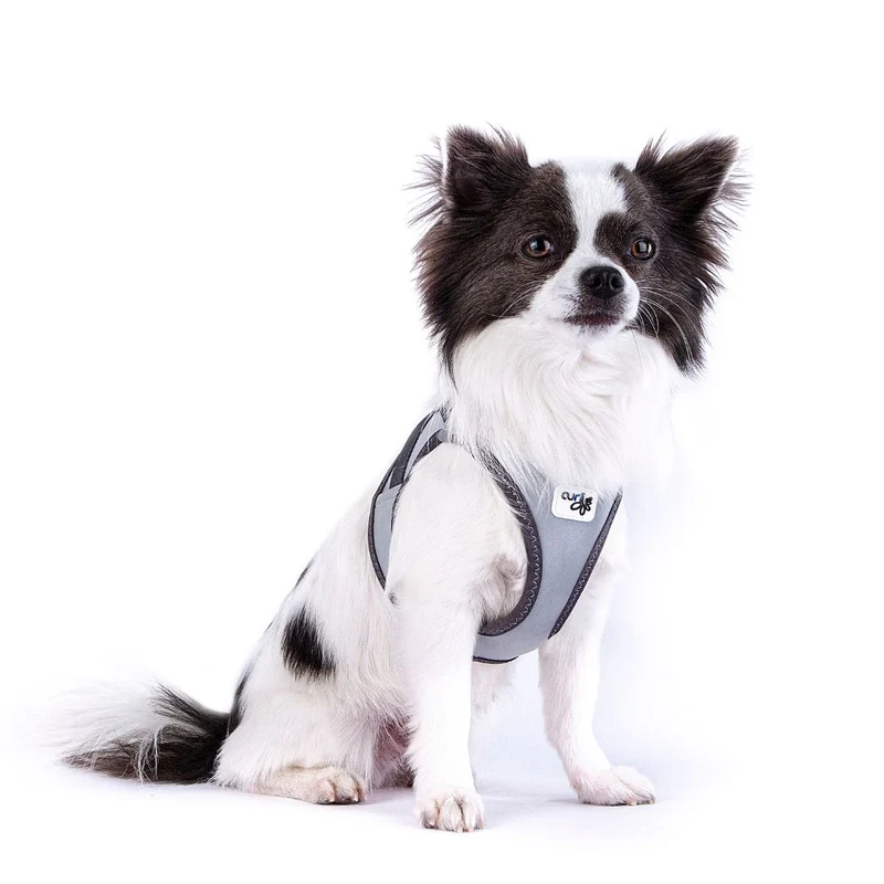 Hundegeschirr Glow Clasp Vest Harness Reflective Grey