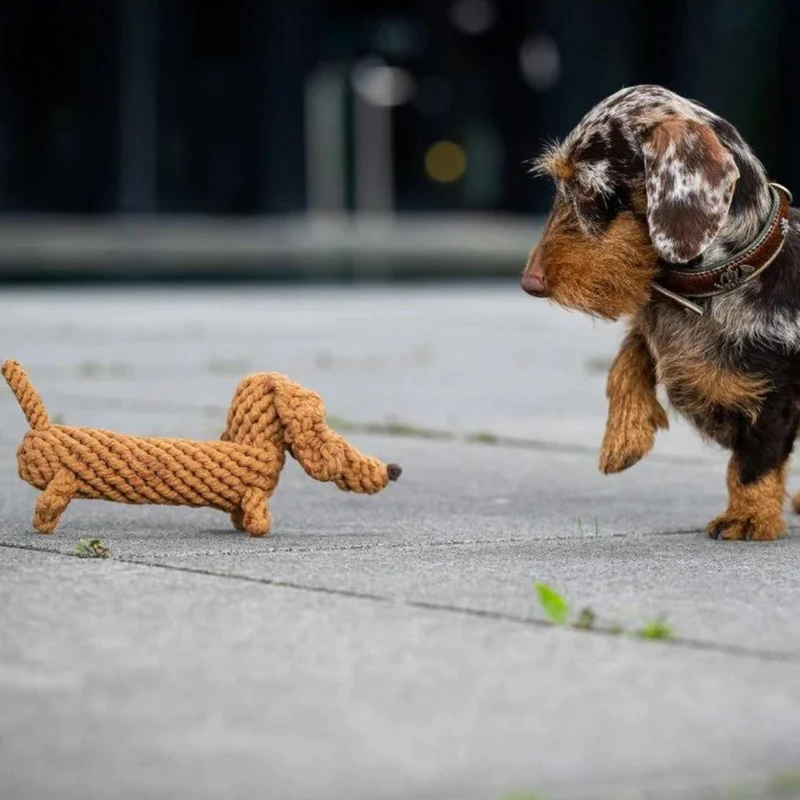Hundespielzeug Diego Dackel