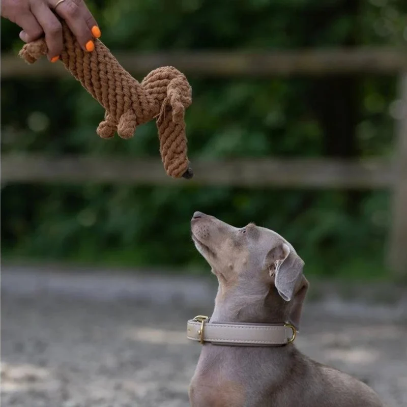 Hundespielzeug Diego Dackel