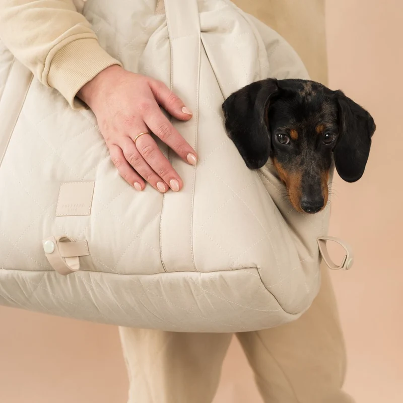 Autositz & Hundetasche Sandstone