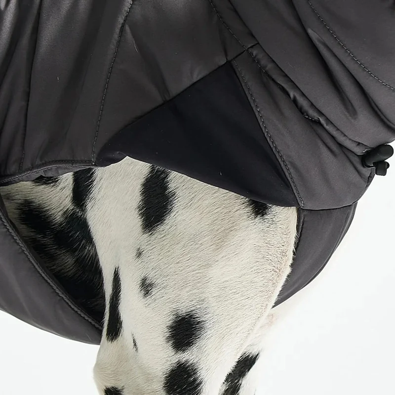 Cosima Hundewintermantel Asphalt