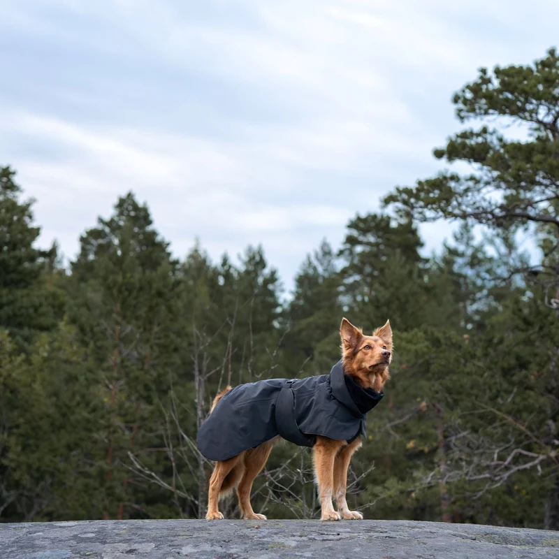 Vollreflektierender Hundewintermantel Dark