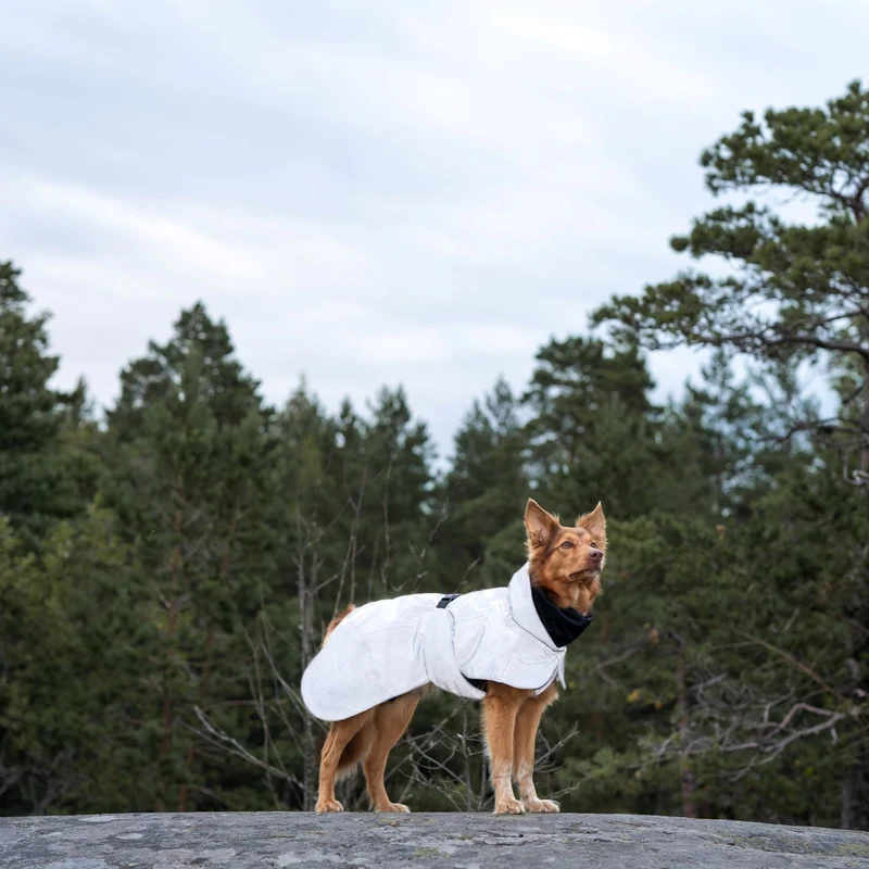 Vollreflektierender Hundewintermantel Dark