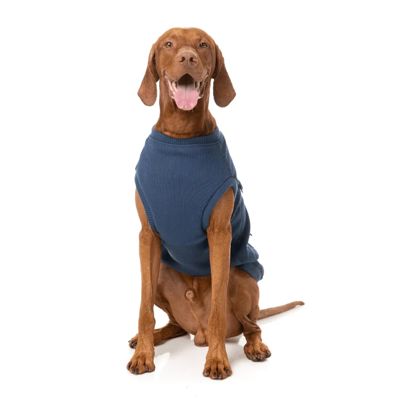 Hundejacke Kojima Indigo