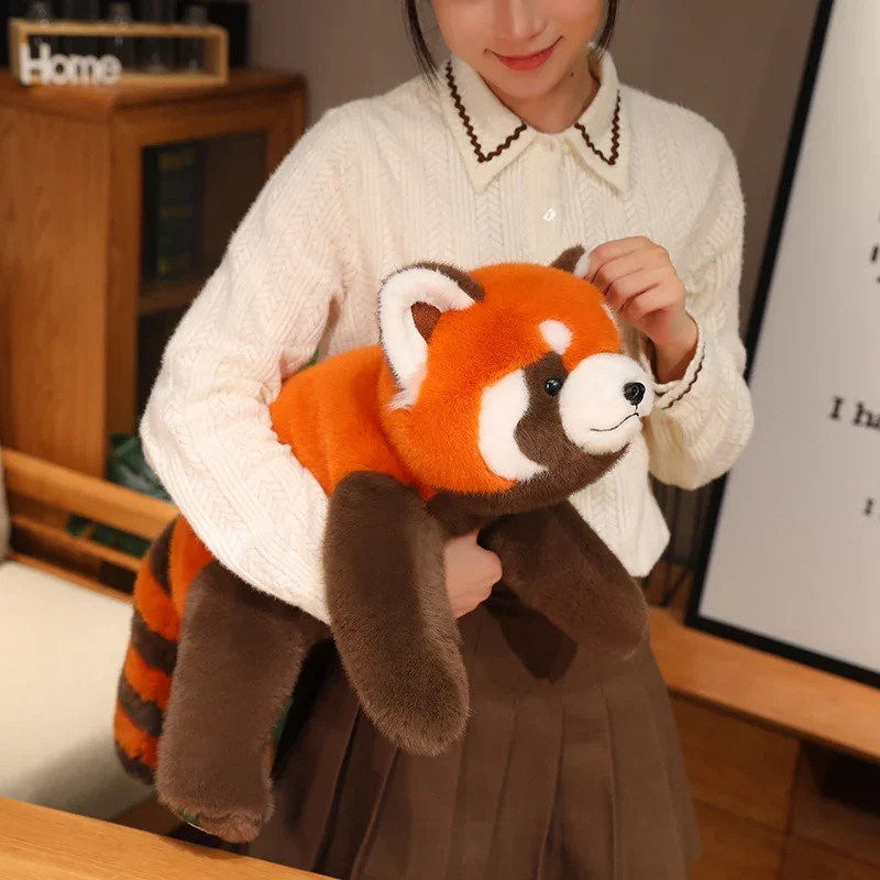 Roter Panda oder Waschbär Stofftiere (30-60cm)