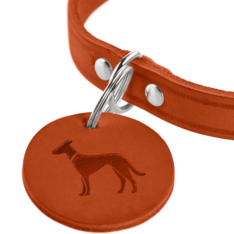 Halsband Aalborg